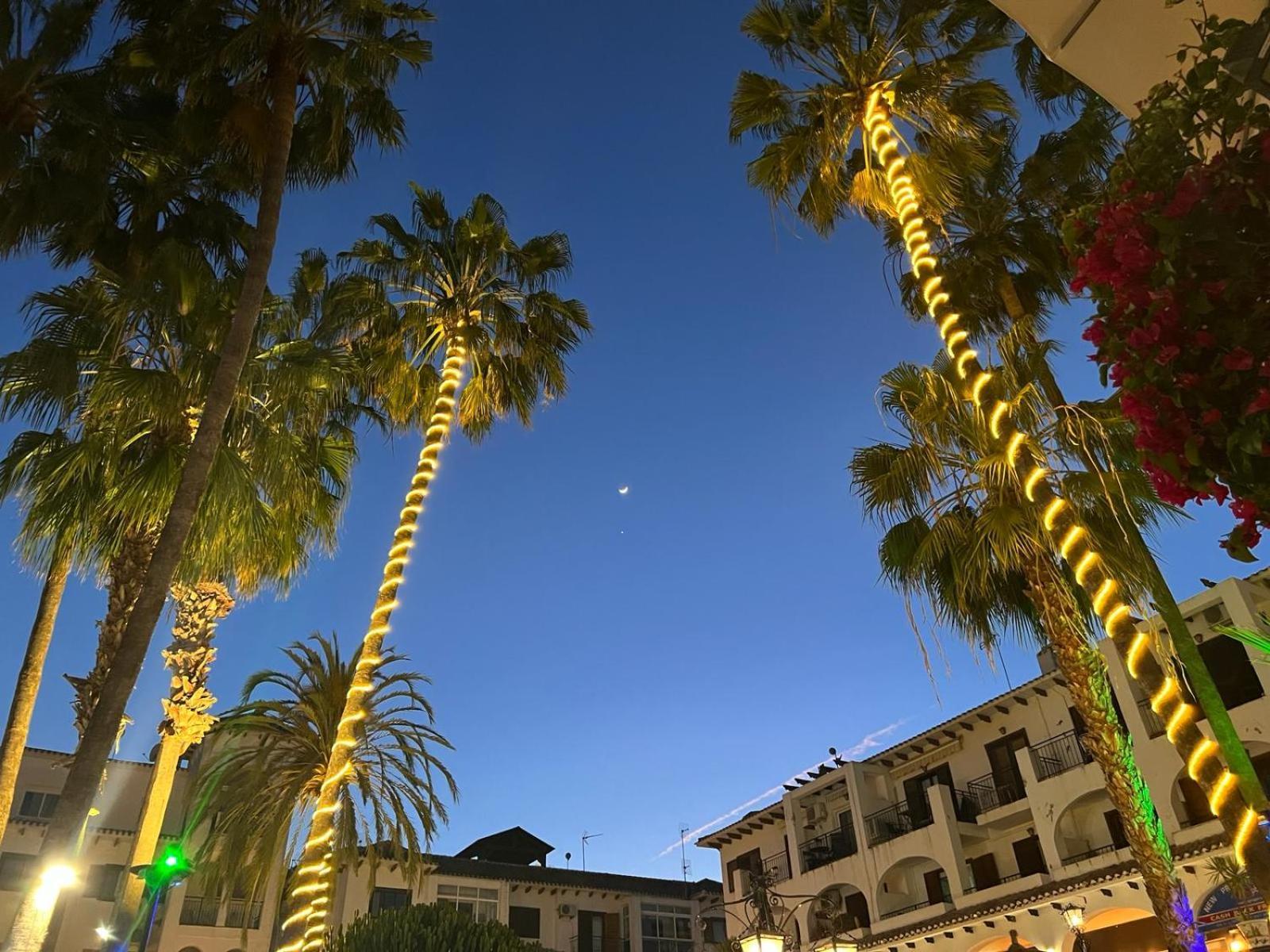Palmview Poolside Heaven In Turquesa Del Mar Appartement Orihuela Buitenkant foto